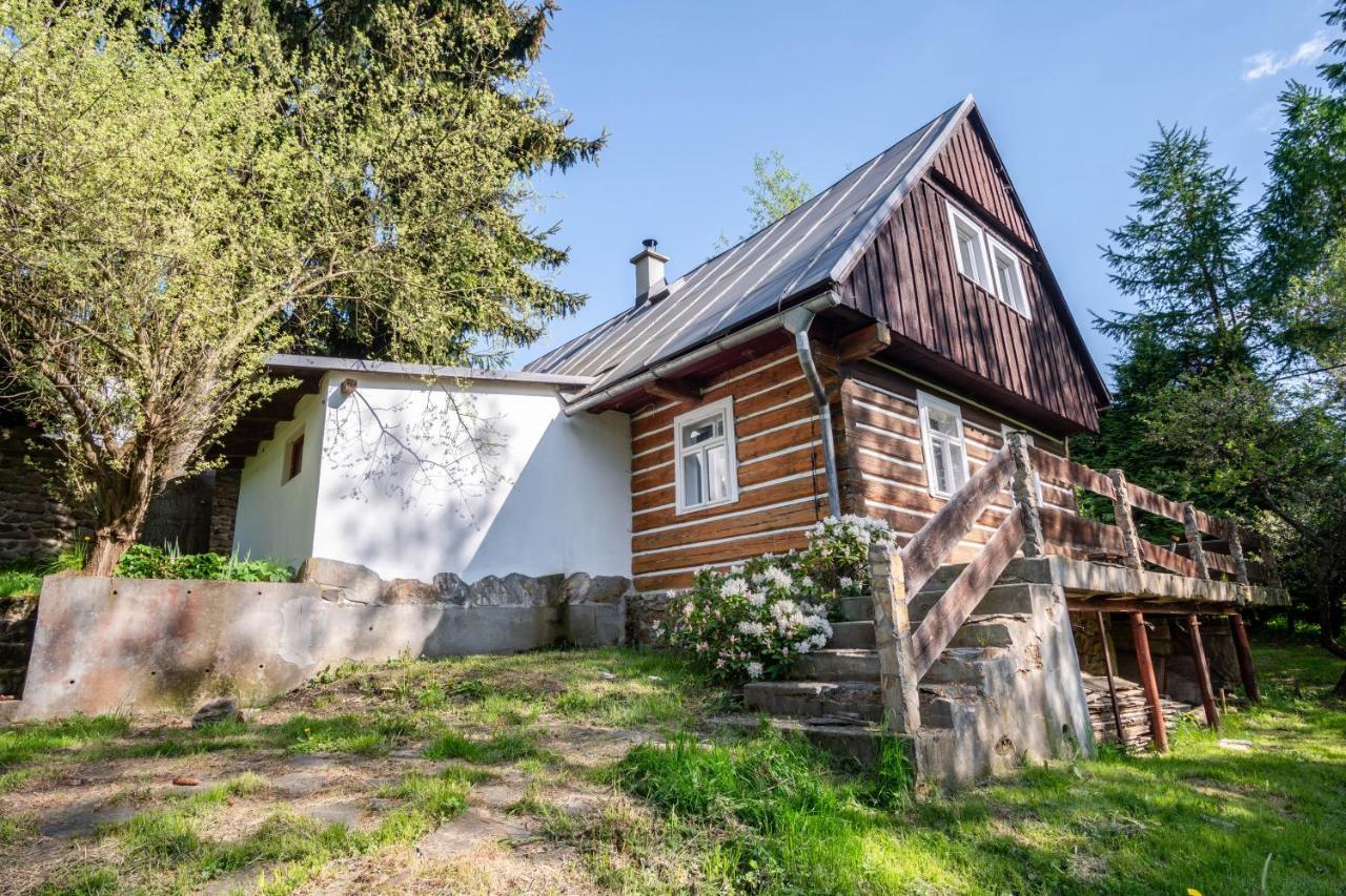 Roubenka Mustelka Apartment Rokytnice nad Jizerou Exterior photo